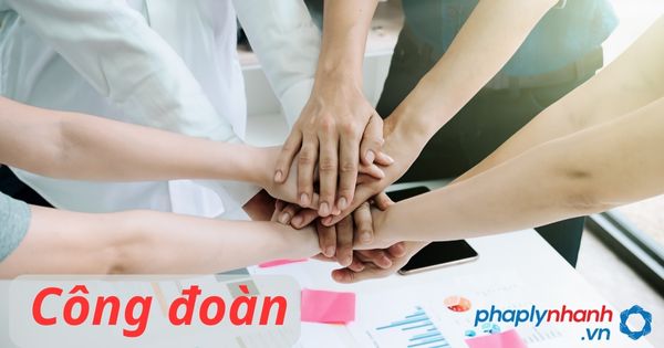 Thủ tục thành lập công đoàn, gia nhập công đoàn 13 công đoàn - tư vấn hỗ trợ pháp lý nhanh