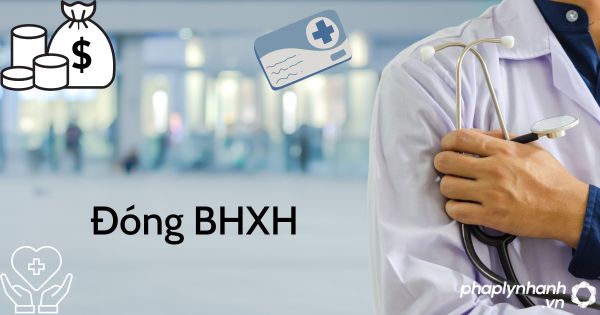 Đóng BHXH vào ngày nào? 1 tháng làm bao nhiêu ngày thì được đóng BHXH? 20 đóng bhxh hằng tháng - tư vấn hỗ trợ pháp lý nhanh