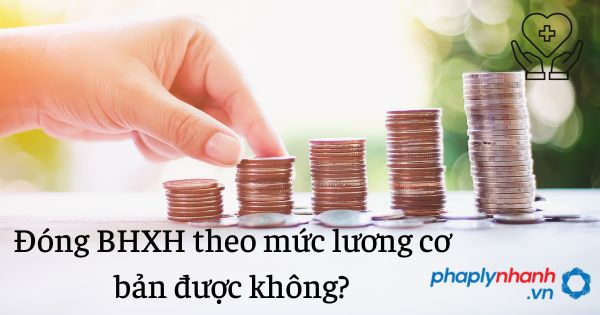 đóng bhxh - tư vấn hỗ trợ pháp lý nhanh