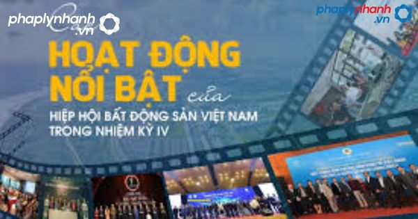 Cơ chế hoạt động của Hiệp hội Bất động sản nhà đất Việt Nam 3 Hiệp hội Bất động sản nhà đất Việt Nam-tư vấn, hỗ trợ pháp lý nhanh