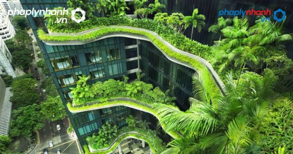 Xu thế 2023 bất động sản văn phòng chuyển dịch về văn phòng xanh 4 8 bước cấp Giấy chứng nhận cho người mua nhà đất-tư vấn, hỗ trợ pháp lý nhanh