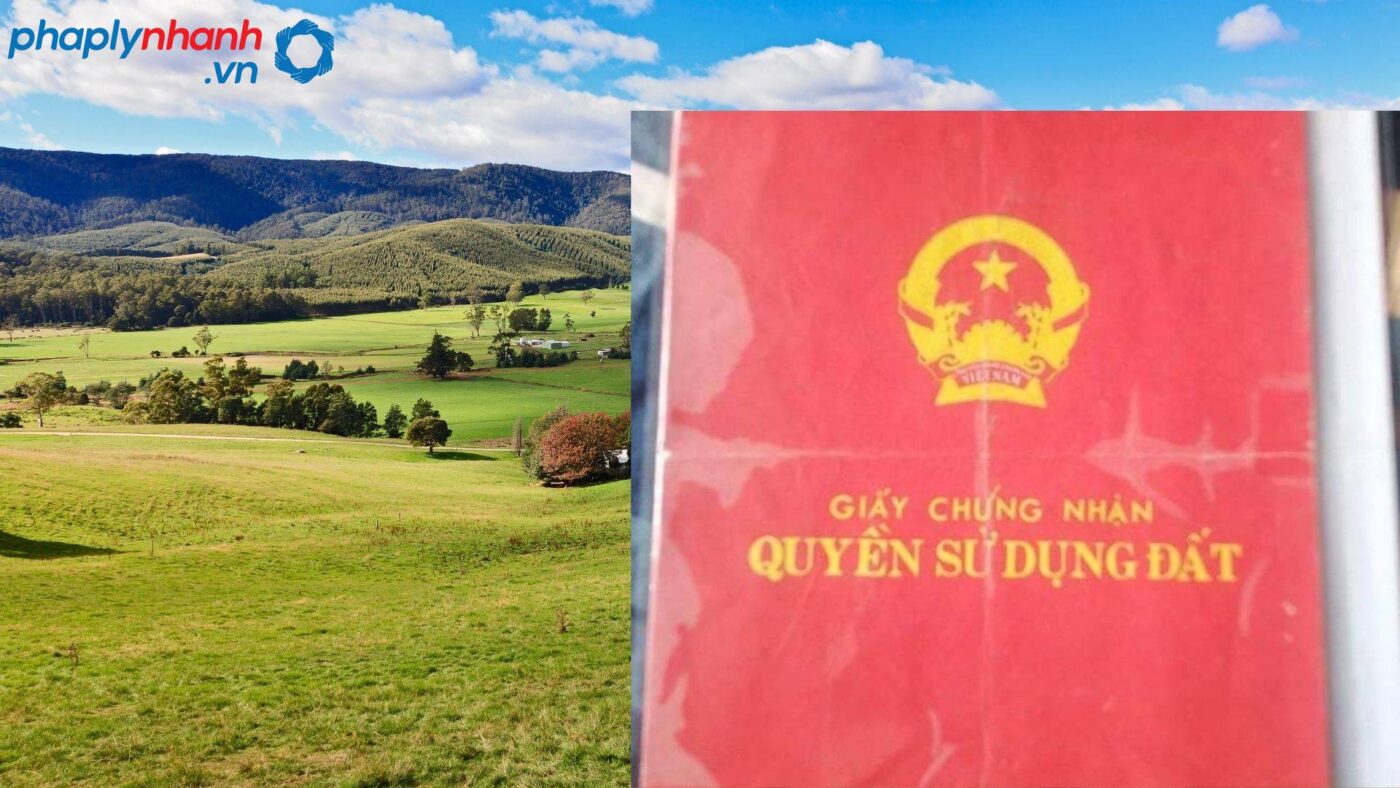 Quy định về Người sử dụng đất 4 người độc thân mua bán nhà-tư vấn, hỗ trợ pháp lý nhanh