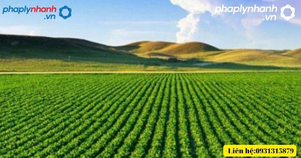 Thủ tục gia hạn sử dụng đất như thế nào? 4 Thủ tục gia hạn sử dụng đất-tư vấn, hỗ trợ pháp lý nhanh