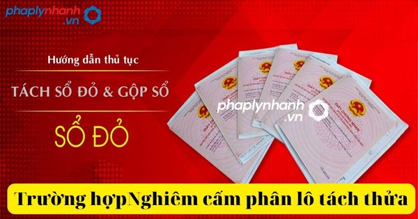 Nghiêm cấm tách thửa đất các trường hợp trong năm 2023 1 nghiêm cấm phân lô tách thửa đất-tư vấn, hỗ trợ pháp lý nhanh