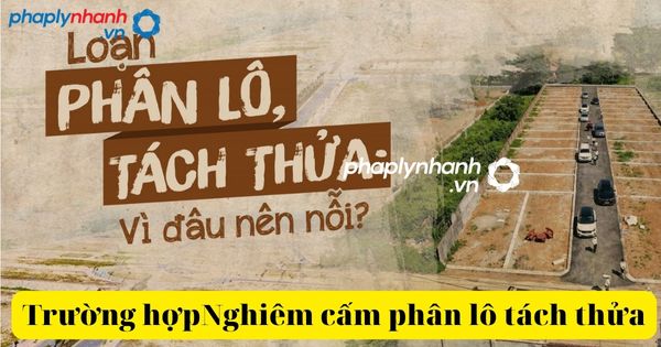 Nghiêm cấm tách thửa đất các trường hợp trong năm 2023 3 nghiêm cấm phân lô tách thửa đất-tư vấn, hỗ trợ pháp lý nhanhmhj