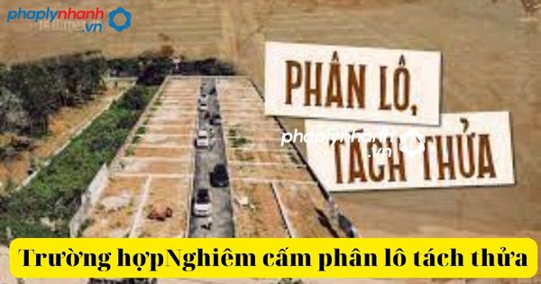 Nghiêm cấm tách thửa đất các trường hợp trong năm 2023 2 nghiêm cấm phân lô tách thửa đất-tư vấn, hỗ trợ pháp lý nhanh