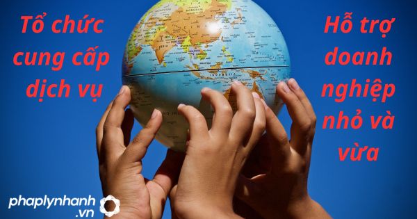 Trách nhiệm của tổ chức cung cấp dịch vụ hỗ trợ doanh nghiệp nhỏ và vừa 1 tổ chức cung cấp dịch vụ - tư vấn hỗ trợ pháp lý nhanh