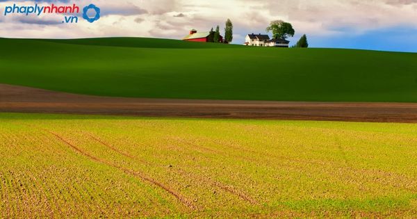 Trường hợp nào miễn thuế sử dụng đất nông nghiệp? 14 Rủi ro gì khi dùng đất nông nghiệp sổ chung -tư vấn, hỗ trợ pháp lý nhanh