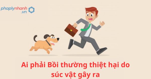 Ai phải bồi thường thiệt hại do súc vật gây ra? 1 Ai phải bồi thường thiệt hại do súc vật gây ra?