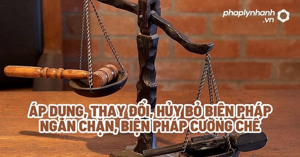 Áp dụng, thay đổi, hủy bỏ biện pháp ngăn chặn, biện pháp cưỡng chế? 1 Áp dụng, thay đổi, hủy bỏ biện pháp ngăn chặn, biện pháp cưỡng chế - Tư vấn, hỗ trợ pháp lý nhanh