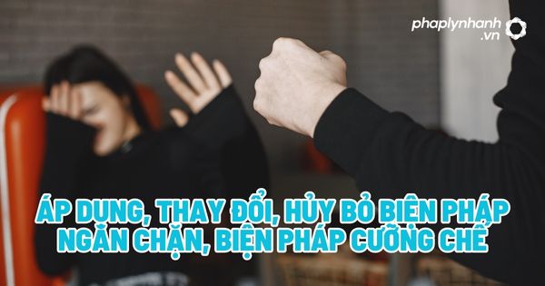 Áp dụng, thay đổi, hủy bỏ biện pháp ngăn chặn, biện pháp cưỡng chế? 1 Áp dụng, thay đổi, hủy bỏ biện pháp ngăn chặn, biện pháp cưỡng chế - Tư vấn, hỗ trợ pháp lý nhanh