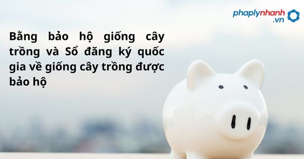 Bằng bảo hộ giống cây trồng và Sổ đăng ký quốc gia về giống cây trồng được bảo hộ 1 Bằng bảo hộ giống cây trồng và Sổ đăng ký quốc gia về giống cây trồng được bảo hộ - hỗ trợ, tư vấn pháp lý nhanh