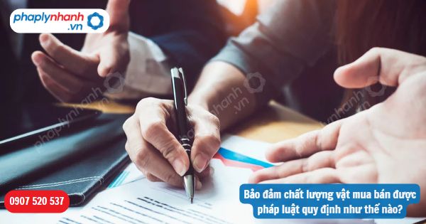 Bảo đảm chất lượng vật mua bán được pháp luật quy định như thế nào? 1 Bảo đảm chất lượng vật mua bán được pháp luật quy định như thế nào-Hỗ trợ, tư vấn pháp lý nhanh