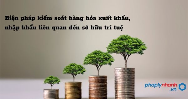 Biện pháp kiểm soát hàng hóa xuất khẩu, nhập khẩu liên quan đến sở hữu trí tuệ như thế nào? 1 Biện pháp kiểm soát hàng hóa xuất khẩu, nhập khẩu liên quan đến sở hữu trí tuệ - hỗ trợ, tư vấn pháp lý nhanh