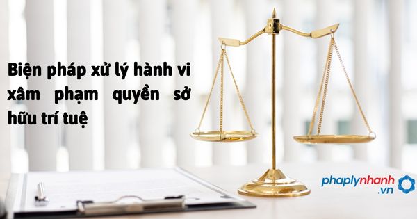Biện pháp xử lý hành vi xâm phạm quyền sở hữu trí tuệ - hỗ trợ, tư vấn pháp lý nhanh