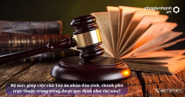 Bộ máy giúp việc của Tòa án nhân dân tỉnh, thành phố trực thuộc trung ương được quy định như thế nào? 7 Bộ máy giúp việc của Tòa án nhân dân tỉnh, thành phố trực thuộc trung ương được quy định như thế nào - Tư vấn, hỗ trợ pháp lý nhanh