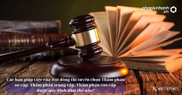 Các ban giúp việc của Hội đồng thi tuyển chọn Thẩm phán sơ cấp, Thẩm phán trung cấp, Thẩm phán cao cấp được quy định như thế nào? 1 Các ban giúp việc của Hội đồng thi tuyển chọn Thẩm phán sơ cấp, Thẩm phán trung cấp, Thẩm phán cao cấp được quy định như thế nào?