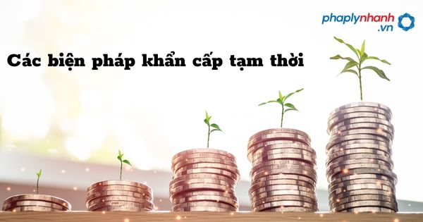 Các biện pháp khẩn cấp tạm thời được quy định như thế nào? 1 Các biện pháp khẩn cấp tạm thời - hỗ trợ, tư vấn pháp lý nhanh