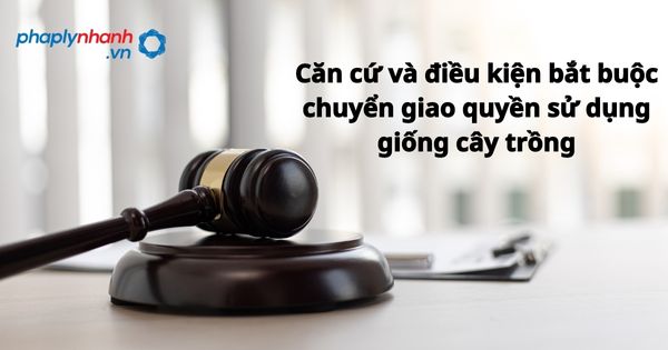 Căn cứ và điều kiện bắt buộc chuyển giao quyền sử dụng giống cây trồng được quy định như thế nào? 1 Căn cứ và điều kiện bắt buộc chuyển giao quyền sử dụng giống cây trồng - hỗ trợ, tư vấn pháp lý nhanh
