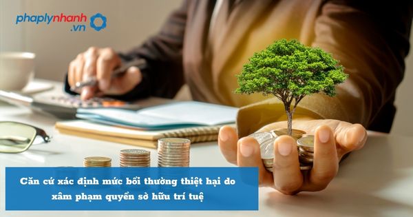 Căn cứ xác định mức bồi thường thiệt hại do xâm phạm quyền sở hữu trí tuệ được quy định như thế nào? 1 Căn cứ xác định mức bồi thường thiệt hại do xâm phạm quyền sở hữu trí tuệ - hỗ trợ, tư vấn pháp lý nhanh