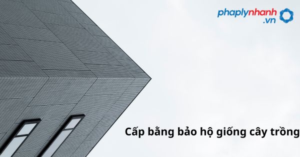 Cấp Bằng bảo hộ giống cây trồng như thế nào? 1 Cấp bằng bảo hộ giống cây trồng - hỗ trợ, tư vấn pháp lý nhanh