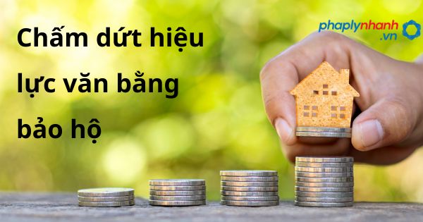 Chấm dứt hiệu lực văn bằng bảo hộ - hỗ trợ, tư vấn pháp lý nhanh