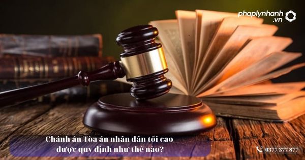 Chánh án Tòa án nhân dân tối cao được quy định như thế nào - Tư vấn hỗ trợ pháp lý nhanh