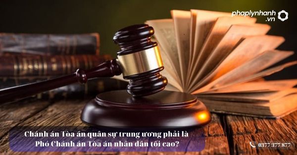 Chánh án Tòa án quân sự trung ương phải là Phó Chánh án Tòa án nhân dân tối cao? 1 Chánh án Tòa án quân sự trung ương phải là Phó Chánh án Tòa án nhân dân tối cao - Tư vấn, hỗ trợ pháp lý nhanh