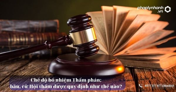 Chế độ bổ nhiệm Thẩm phán; bầu, cử Hội thẩm được quy định như thế nào? 20 Chế độ bổ nhiệm Thẩm phán; bầu, cử Hội thẩm được quy định như thế nào - Tư vấn, hỗ trợ pháp lý nhanh