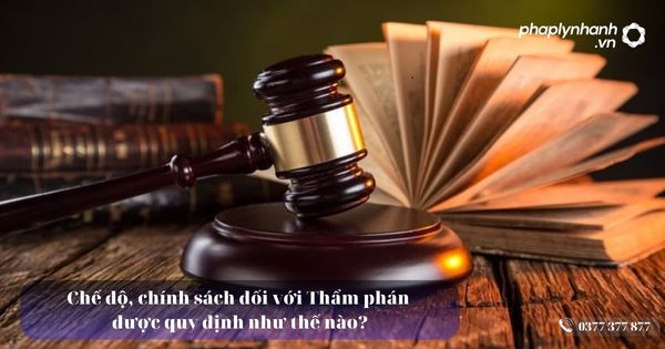 Chế độ, chính sách đối với Thẩm phán được quy định như thế nào? 5 Chế độ, chính sách đối với Thẩm phán được quy định như thế nào?