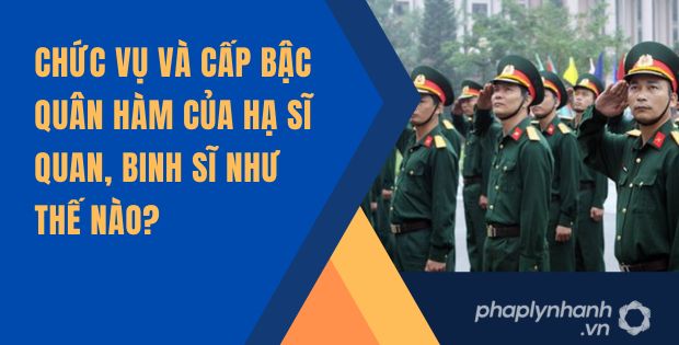 CHỨC VỤ VÀ CẤP BẬC QUÂN HÀM CỦA HẠ SĨ QUAN, BINH SĨ NHƯ THẾ NÀO? 1 Chức vụ và cấp bậc quân hàm của hạ sĩ quan, binh sĩ như thế nào?