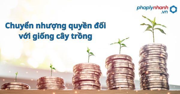Chuyển nhượng quyền đối với giống cây trồng được quy định như thế nào? 1 Chuyển nhượng quyền đối với giống cây trồng - hỗ trợ, tư vấn pháp lý nhanh