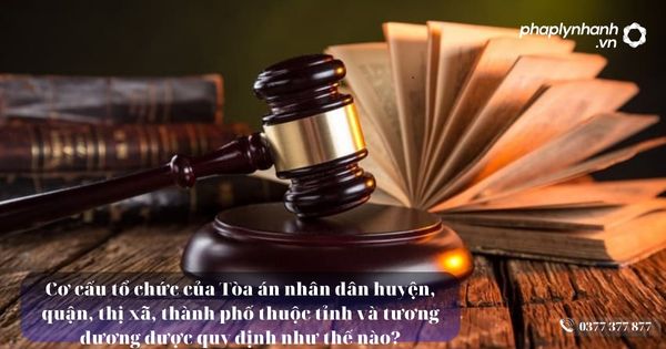 Cơ cấu tổ chức của Tòa án nhân dân huyện, quận, thị xã, thành phố thuộc tỉnh và tương đương 1 Cơ cấu tổ chức của Tòa án nhân dân huyện, quận, thị xã, thành phố thuộc tỉnh và tương đương được quy định như thế nào - Tư vấn, hỗ trợ pháp lý nhanh