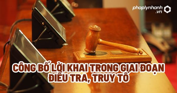 Công bố lời khai trong giai đoạn điều tra, truy tố - Tư vấn, hỗ trợ pháp lý nhanh
