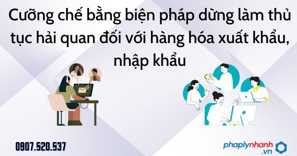 Cưỡng chế bằng biện pháp dừng làm thủ tục hải quan đối với hàng hóa xuất khẩu, nhập khẩu - tư vấn hỗ trợ pháp lý nhanh