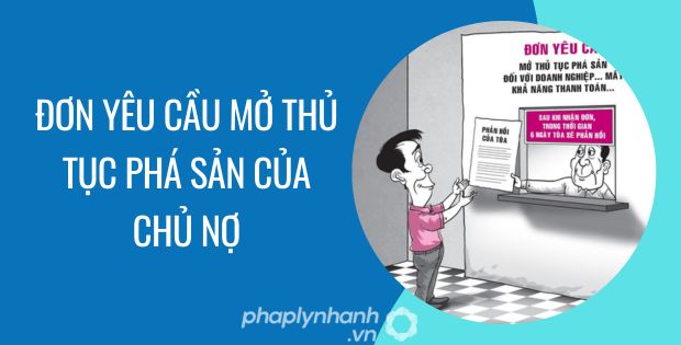 ĐƠN YÊU CẦU MỞ THỦ TỤC PHÁ SẢN CỦA CHỦ NỢ ĐƯỢC QUY ĐỊNH NHƯ THẾ NÀO? 1 ĐƠN YÊU CẦU MỞ THỦ TỤC PHÁ SẢN CỦA CHỦ NỢ