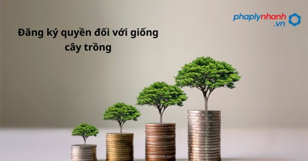 Đăng ký quyền đối với giống cây trồng - hỗ trợ, tư vấn pháp lý nhanh