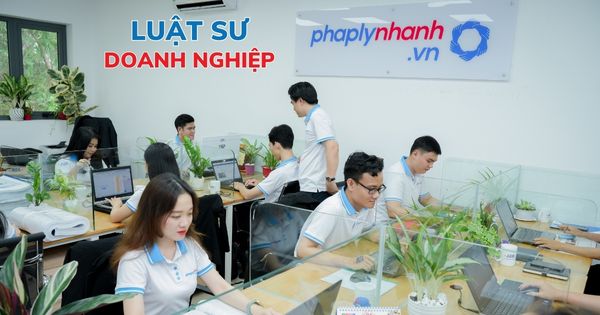 Tiền lương, Thù lao và lợi ích cho Người quản lý công ty 2 Dịch vụ luật sư tư vấn doanh nghiệp miễn phí - Tư vấn hỗ trợ pháp lý nhanh