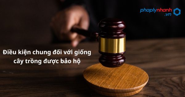 Điều kiện chung đối với giống cây trồng được bảo hộ theo quy định hiện nay? 1 Điều kiện chung đối với giống cây trồng được bảo hộ - hỗ trợ, tư vấn pháp lý nhanh