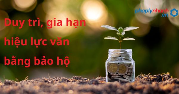 Duy trì, gia hạn hiệu lực văn bằng bảo hộ - hỗ trợ, tư vấn pháp lý nhanh