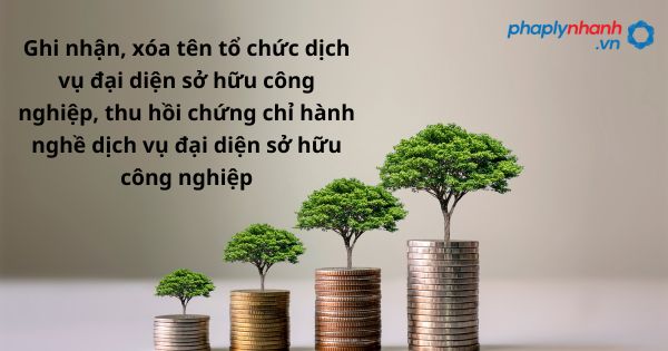 Ghi nhận, xóa tên tổ chức dịch vụ đại diện sở hữu công nghiệp, thu hồi chứng chỉ hành nghề dịch vụ đại diện sở hữu công nghiệp - hỗ trợ, tư vấn pháp lý nhanh