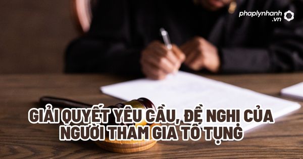 Giải quyết yêu cầu, đề nghị của người tham gia tố tụng? 1 Giải quyết yêu cầu, đề nghị của người tham gia tố tụng - Tư vấn, hỗ trợ pháp lý nhanh