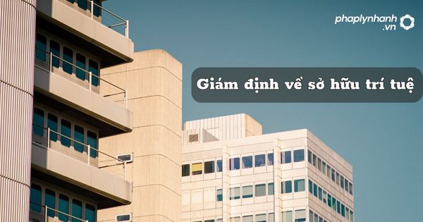 Giám định về sở hữu trí tuệ như thế nào? 1 Giám định về sở hữu trí tuệ - hỗ trợ, tư vấn pháp lý nhanh