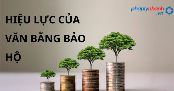 HIỆU LỰC CỦA VĂN BẰNG BẢO HỘ - HỖ TRỢ, TƯ VẤN PHÁP LÝ NHANH