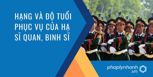 HẠNG VÀ ĐỘ TUỔI PHỤC VỤ CỦA HẠ SĨ QUAN, BINH SĨ DỰ BỊ ĐƯỢC QUY ĐỊNH NHƯ THẾ NÀO? 1 Hạng và độ tuổi phục vụ của hạ sĩ quan, binh sĩ