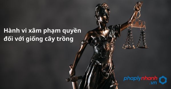 Hành vi xâm phạm quyền đối với giống cây trồng như thế nào? 1 Hành vi xâm phạm quyền đối với giống cây trồng - hỗ trợ, tư vấn pháp lý nhanh