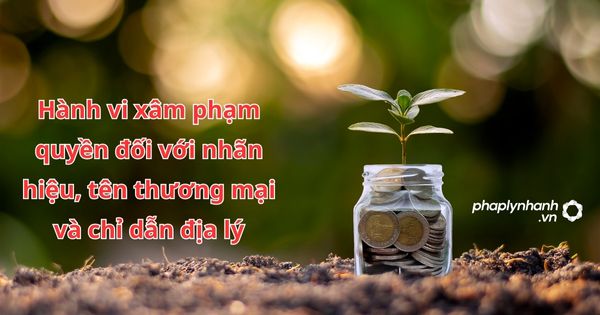 Hành vi xâm phạm quyền đối với nhãn hiệu, tên thương mại và chỉ dẫn địa lý 1 Hành vi xâm phạm quyền đối với nhãn hiệu, tên thương mại và chỉ dẫn địa lý - hỗ trợ, tư vấn pháp lý nhanh