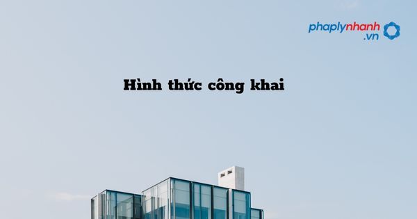 Hình thức công khai - hỗ trợ, tư vấn pháp lý nhanh