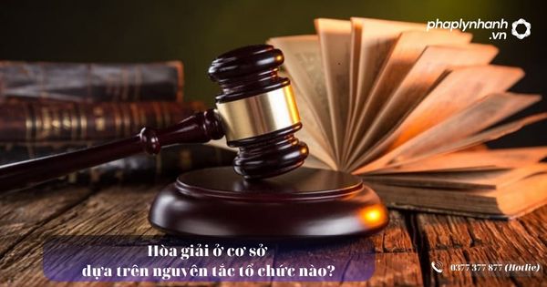 Hòa giải ở cơ sở dựa trên nguyên tắc tổ chức nào? 19 Hòa giải ở cơ sở dựa trên nguyên tắc tổ chức nào - Tư vấn, hỗ trợ pháp lý nhanh