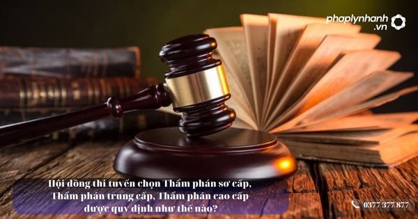 Hội đồng thi tuyển chọn Thẩm phán sơ cấp, Thẩm phán trung cấp, Thẩm phán cao cấp được quy định như thế nào? 17 Thẩm phán sơ cấp - Tư vấn, hỗ trợ pháp lý nhanh